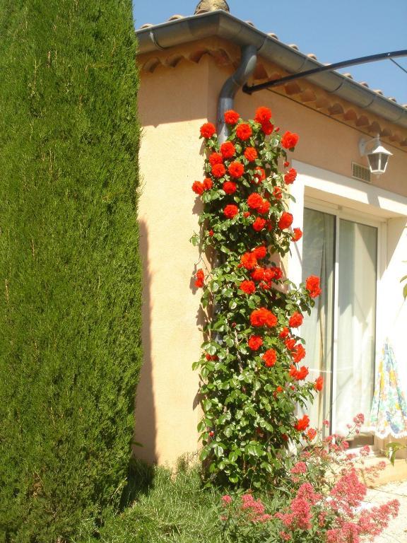 Residence Les Peupliers Loriol-du-Comtat Εξωτερικό φωτογραφία